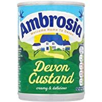 Los mejores  - Ambrosia - Devon Custard - 400g